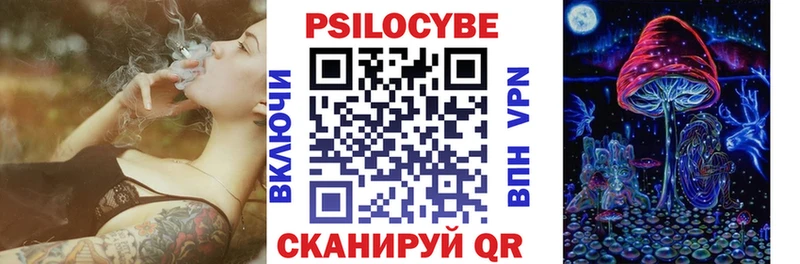Галлюциногенные грибы GOLDEN TEACHER  магазин продажи наркотиков  Старый Оскол 